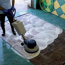 Area Rug